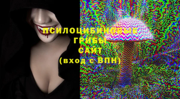 2c-b Лабытнанги