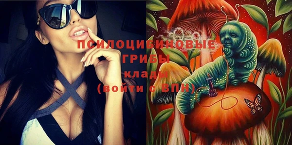 МДМА Алексеевка