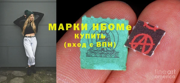 мет Алексин
