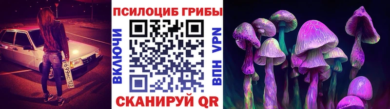 наркотики Красково Псилоцибиновые грибы Magic Shrooms